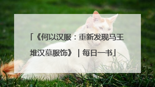 《何以汉服：重新发现马王堆汉墓服饰》｜每日一书