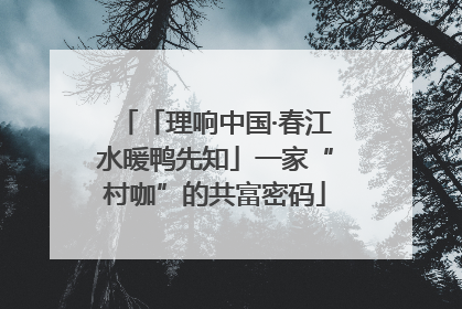 「理响中国·春江水暖鸭先知」一家“村咖”的共富密码