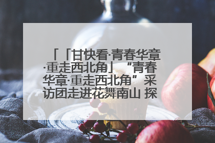 「甘快看·青春华章·重走西北角」“青春华章·重走西北角”采访团走进花舞南山 探寻天水乡村振兴之路