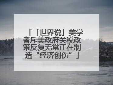 「世界说」美学者斥美政府关税政策反复无常正在制造“经济创伤”