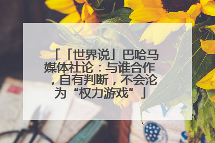 「世界说」巴哈马媒体社论：与谁合作，自有判断，不会沦为“权力游戏”