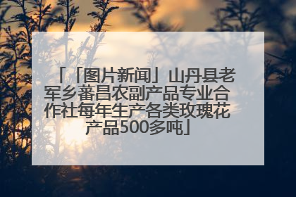 「图片新闻」山丹县老军乡蕃昌农副产品专业合作社每年生产各类玫瑰花产品500多吨