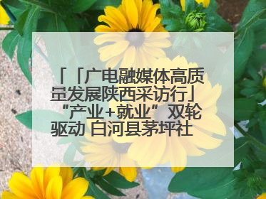 「广电融媒体高质量发展陕西采访行」“产业+就业”双轮驱动 白河县茅坪社区打造易地搬迁后扶新样本