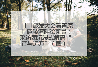 「旅发大会看青原」庐陵湾畔绘新景：采访团沉浸式解码“诗与远方”（图）