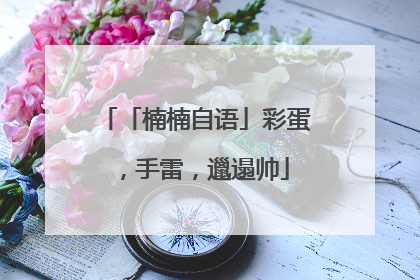 「楠楠自语」彩蛋，手雷，邋遢帅