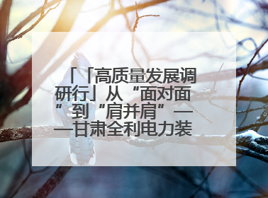 「高质量发展调研行」从“面对面”到“肩并肩”——甘肃全利电力装备生产制造项目一线见闻