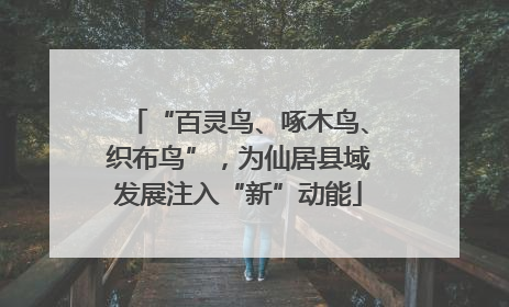 “百灵鸟、啄木鸟、织布鸟”，为仙居县域发展注入“新”动能