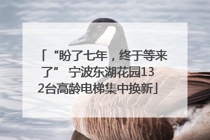 “盼了七年，终于等来了” 宁波东湖花园132台高龄电梯集中换新