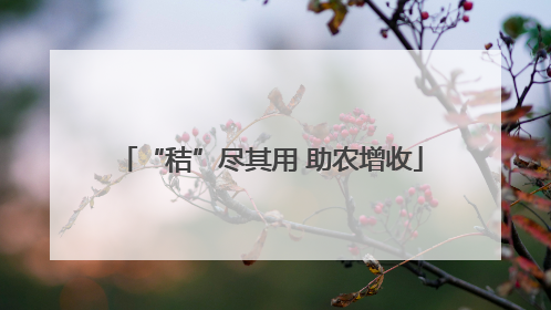 “秸”尽其用 助农增收