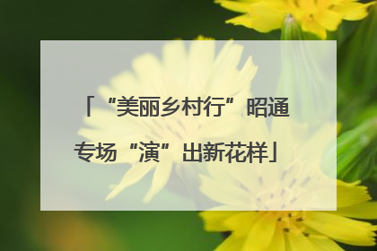 “美丽乡村行”昭通专场“演”出新花样