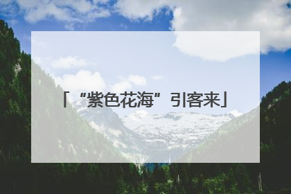“紫色花海”引客来