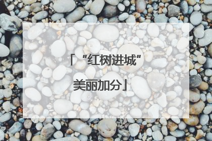 “红树进城” 美丽加分