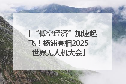 “低空经济”加速起飞！杨浦亮相2025世界无人机大会