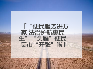 “便民服务进万家 法治护航惠民生”“头雁”便民集市“开张”啦