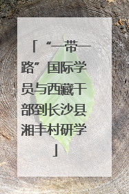 “一带一路”国际学员与西藏干部到长沙县湘丰村研学