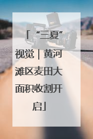 “三夏”视觉｜黄河滩区麦田大面积收割开启