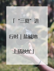 “三夏”进行时｜盐碱地上插秧忙