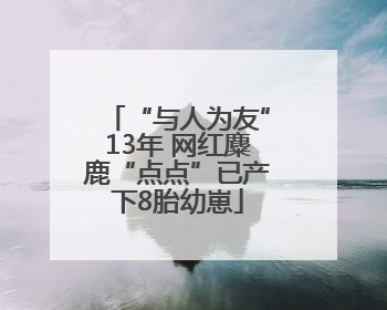 “与人为友”13年 网红麋鹿“点点”已产下8胎幼崽