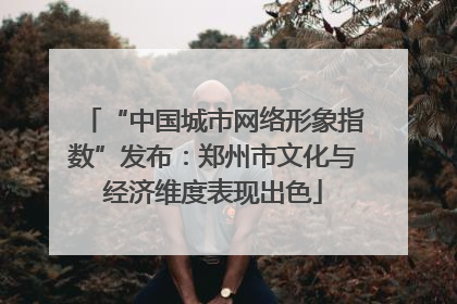 “中国城市网络形象指数”发布：郑州市文化与经济维度表现出色