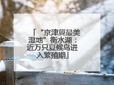 “京津冀最美湿地”衡水湖：近万只夏候鸟进入繁殖期