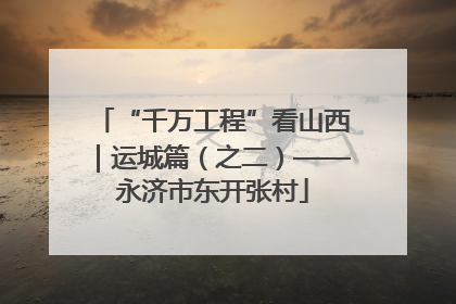 “千万工程”看山西｜运城篇（之二）——永济市东开张村