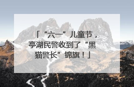 “六一”儿童节，亭湖民警收到了“黑猫警长”锦旗！