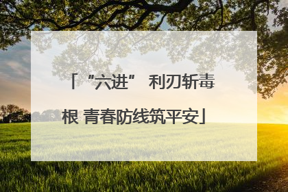 “六进” 利刃斩毒根 青春防线筑平安