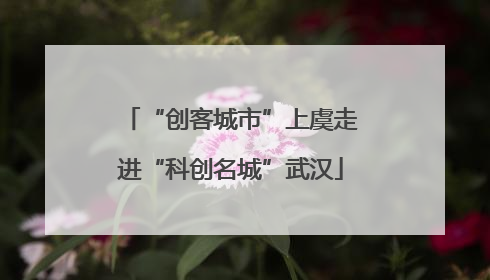 “创客城市”上虞走进“科创名城”武汉