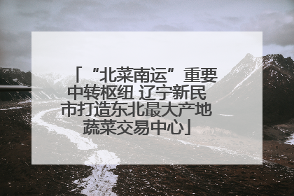 “北菜南运”重要中转枢纽 辽宁新民市打造东北最大产地蔬菜交易中心