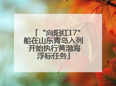 “向阳红17”船在山东青岛入列 开始执行黄渤海浮标任务