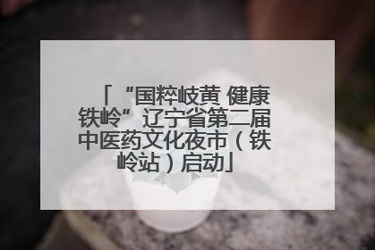 “国粹岐黄 健康铁岭”辽宁省第二届中医药文化夜市（铁岭站）启动