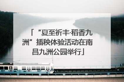 “夏至祈丰·稻香九洲”插秧体验活动在南昌九洲公园举行