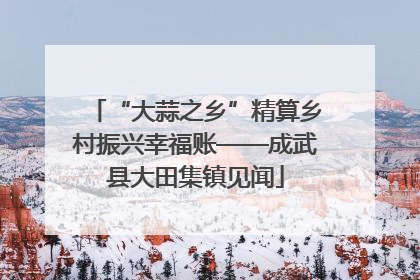 “大蒜之乡”精算乡村振兴幸福账——成武县大田集镇见闻