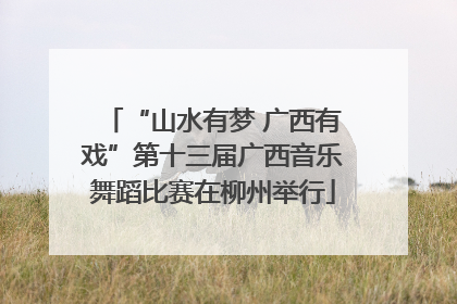 “山水有梦 广西有戏”第十三届广西音乐舞蹈比赛在柳州举行