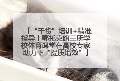 “干货”培训+精准指导丨鄂托克旗三所学校体育课堂在高校专家助力下“提质增效”