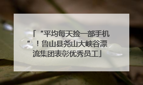 “平均每天捡一部手机”！鲁山县尧山大峡谷漂流集团表彰优秀员工