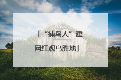 “捕鸟人”建网红观鸟胜地