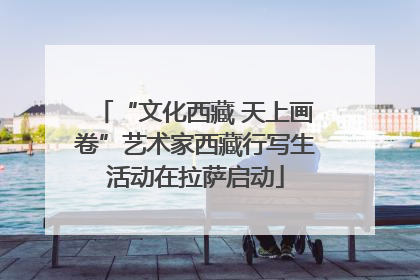 “文化西藏 天上画卷”艺术家西藏行写生活动在拉萨启动