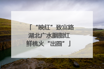 “映红”致富路 湖北广水胭脂红鲜桃火“出圈”