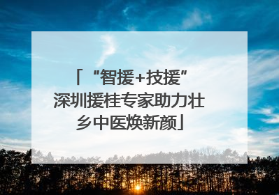 “智援+技援” 深圳援桂专家助力壮乡中医焕新颜