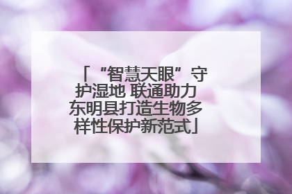 “智慧天眼”守护湿地 联通助力东明县打造生物多样性保护新范式
