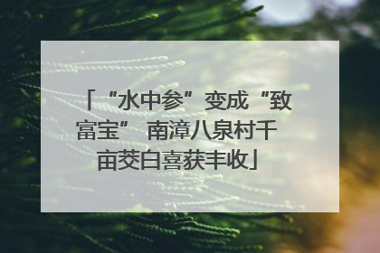 “水中参”变成“致富宝” 南漳八泉村千亩茭白喜获丰收
