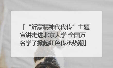 “沂蒙精神代代传”主题宣讲走进北京大学 全国万名学子掀起红色传承热潮