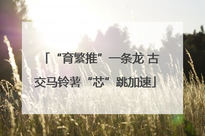 “育繁推”一条龙 古交马铃薯“芯”跳加速