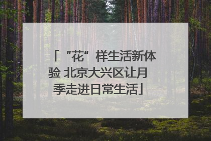 “花”样生活新体验 北京大兴区让月季走进日常生活