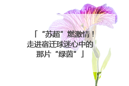 “苏超”燃激情！走进宿迁球迷心中的那片“绿茵”