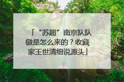 “苏超”南京队队徽是怎么来的？收藏家王世清细说源头