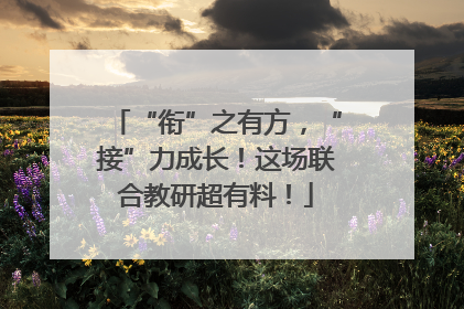 “衔”之有方，“接”力成长！这场联合教研超有料！