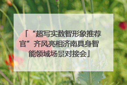 “超写实数智形象推荐官”齐风亮相济南具身智能领域场景对接会