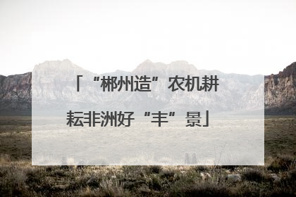 “郴州造”农机耕耘非洲好“丰”景